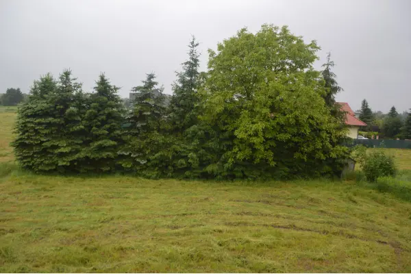 Nowy Sącz, Dla inwestorów 38 ar. pod mieszkaniówkę, itp.